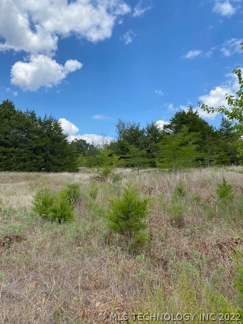 0 3900 Rd unit 2229418, Stuart, OK 74570 - photo 4