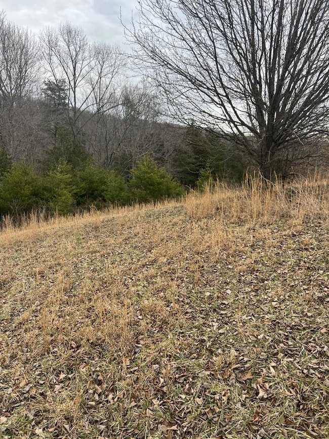 00 Twin Falls Ln, Byrdstown, TN 38549 - photo 2