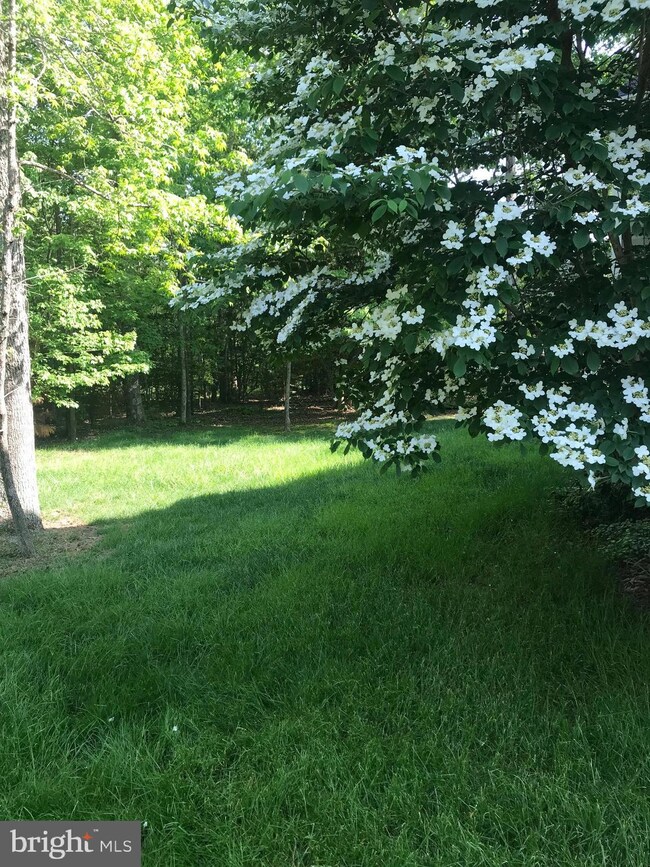 23168 Whistlewood Ln, California, MD 20619 - photo 6