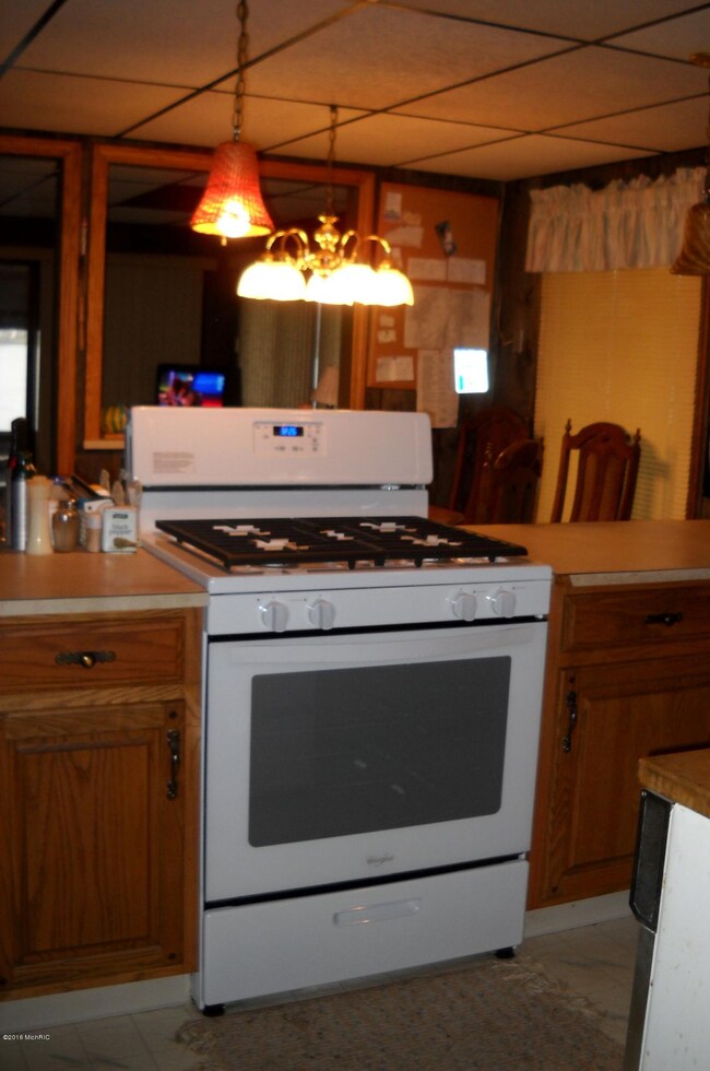 12015 N Lake St, Bitely, MI 49309 - photo 6