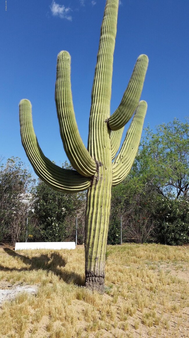 20150331_154255.jpg
