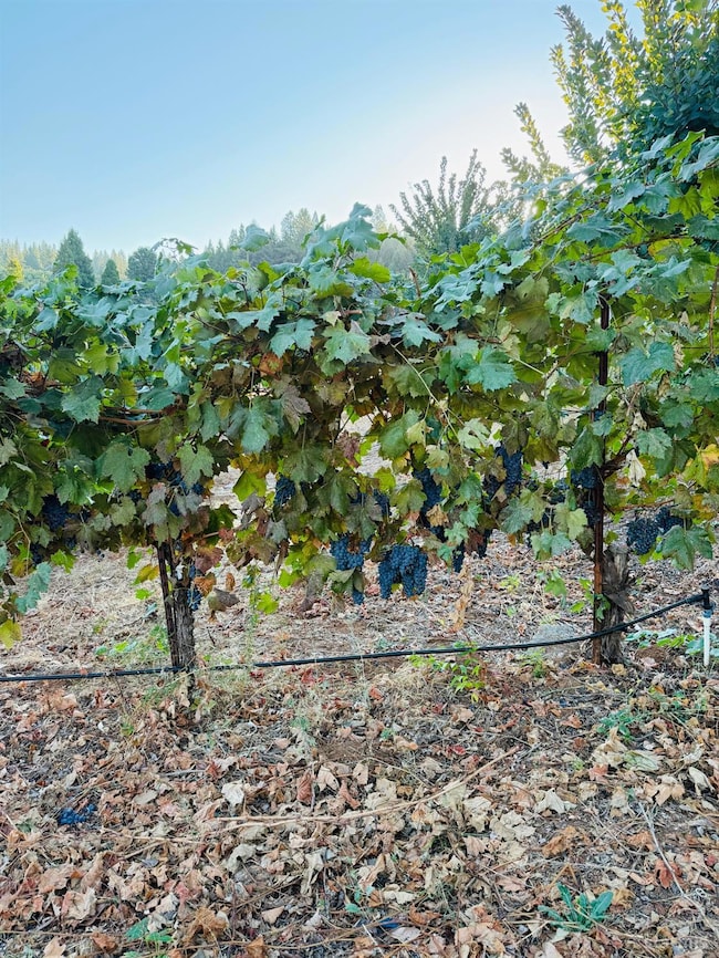 2781 Larsen Dr, Camino, CA 95709 - photo 5