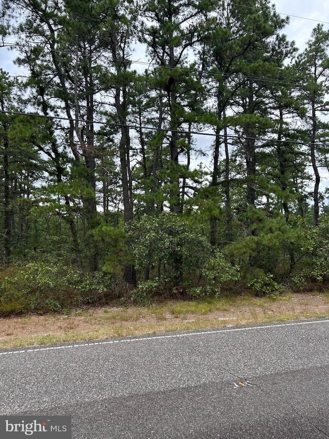 0 Savoy Blvd unit NJBL2096132, Chatsworth, NJ 08019 - photo 3