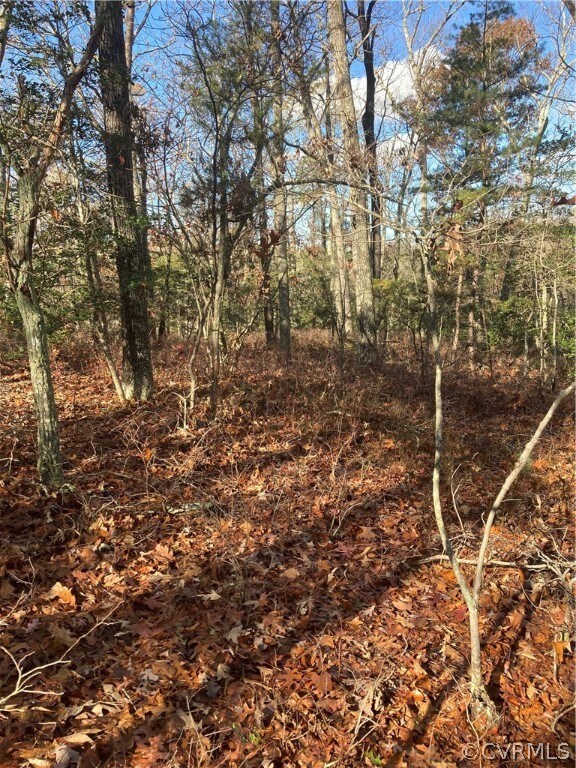 0 Dry Bridge Rd, Caroline, VA 22546 - photo 2