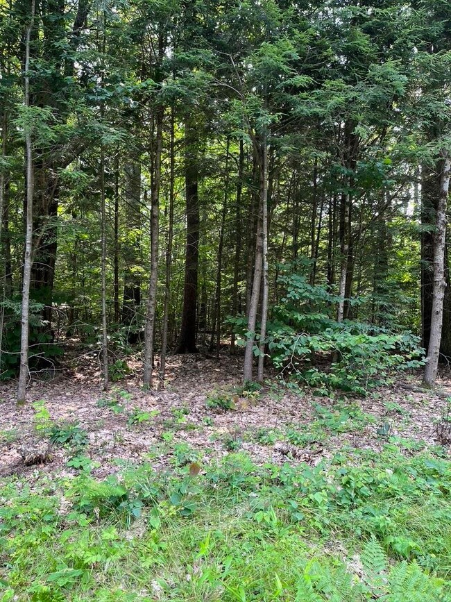 00 Sundorf St unit 6, Moultonborough, NH 03254 - photo 5