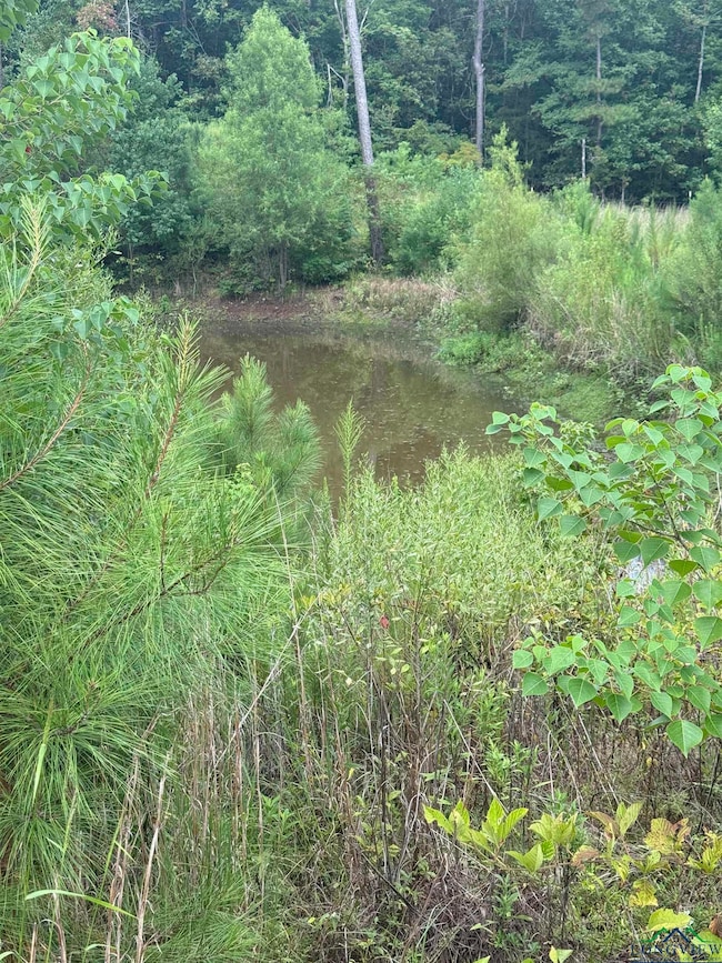 12543 Farm To Market 225, Cushing, TX 75760 - photo 6