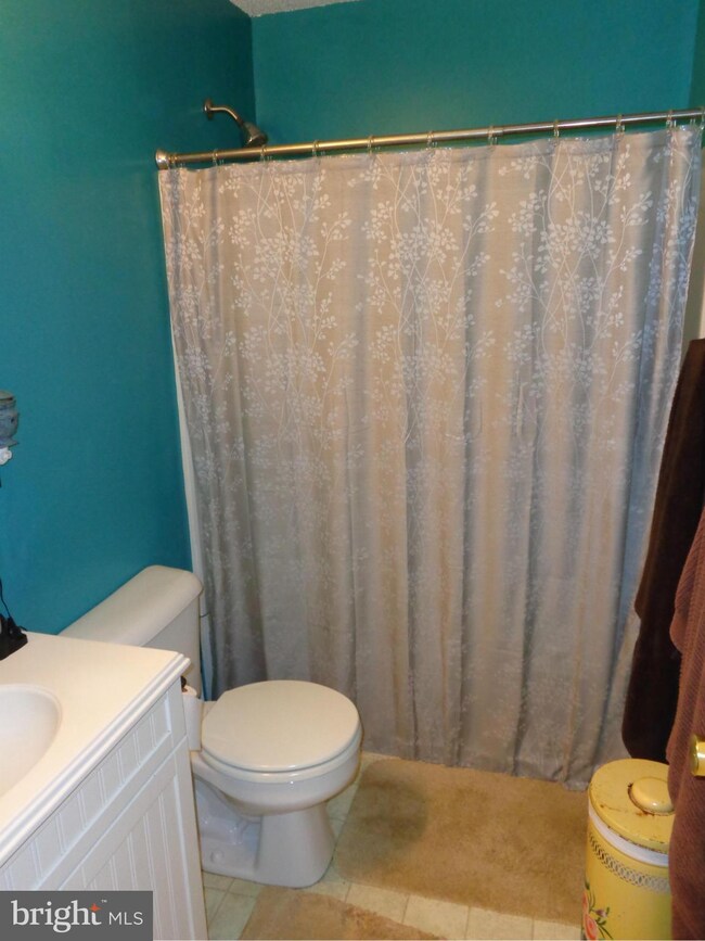 9195 Weslyn Dr, Rixeyville, VA 22737 - photo 4