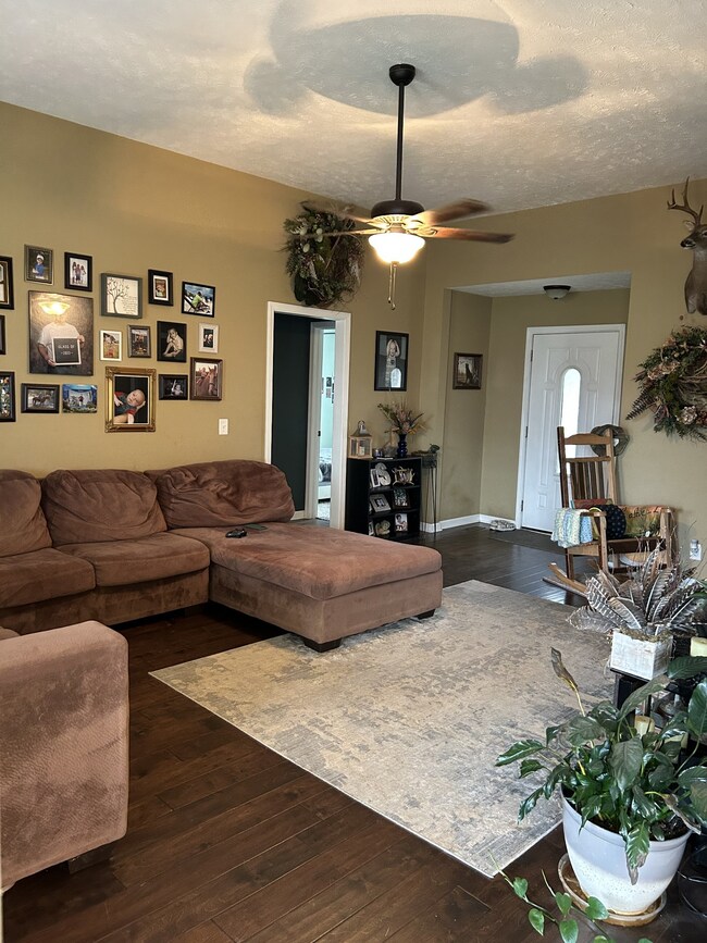 223 Jordan Ave, Shelbyville, TN 37160 - photo 2