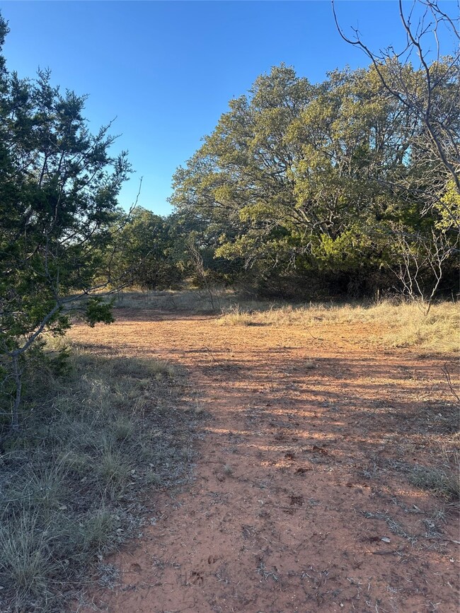 CR 139 Thomas 75 Acre Tract, Bangs, TX 76823 - photo 6
