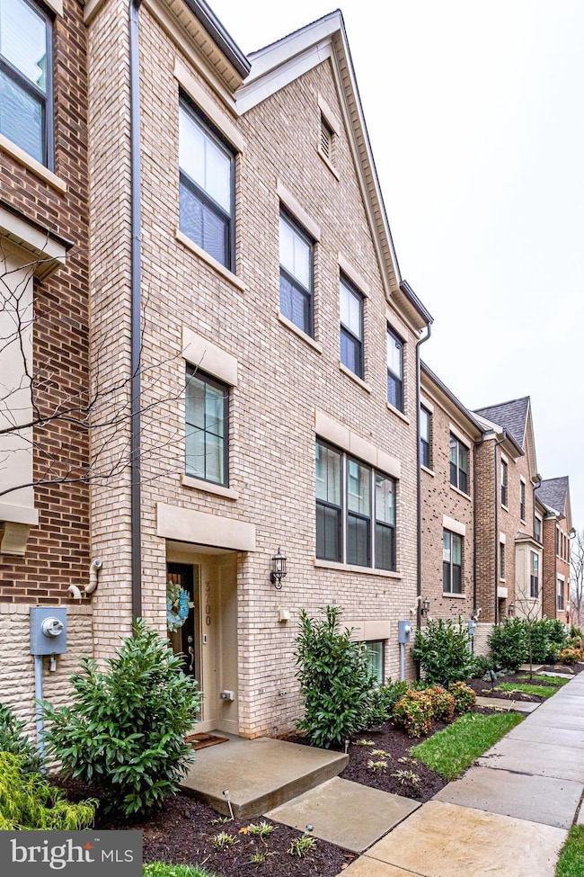 3700 Ambrose Hills Rd, Falls Church, VA 22041 - photo 3