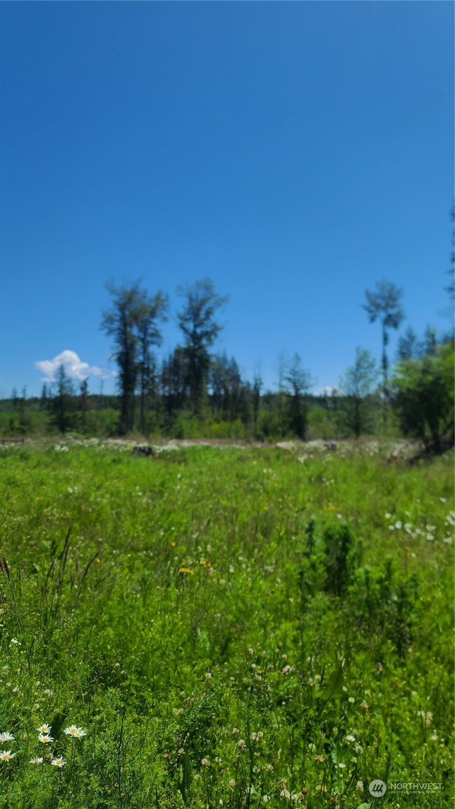 0 Logan Hill Rd unit NWM2254517, Chehalis, WA 98532 - photo 5