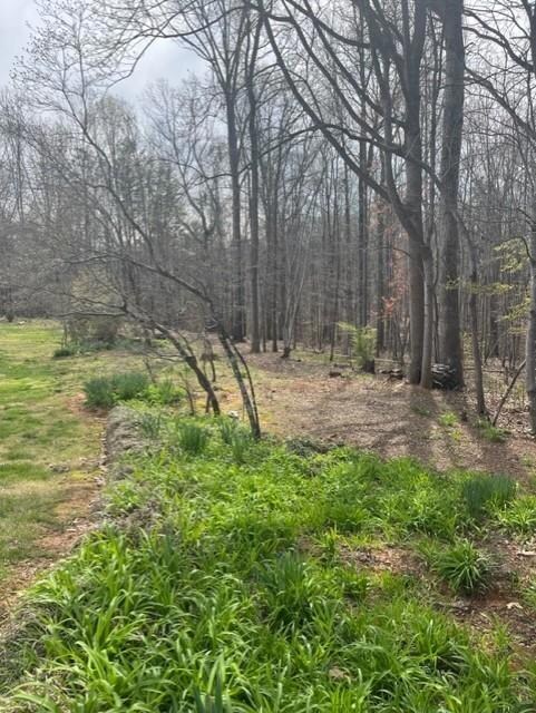 263 Ethel Ln, Statesville, NC 28625 - photo 3