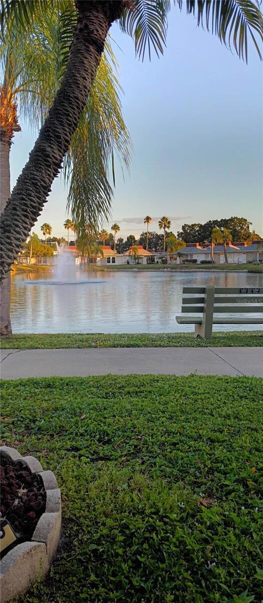 4354 Tahitian Gardens Cir unit F, Holiday, FL 34691 - photo 3