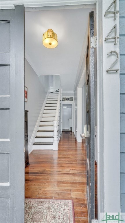 442 Price St, Savannah, GA 31401 - photo 3