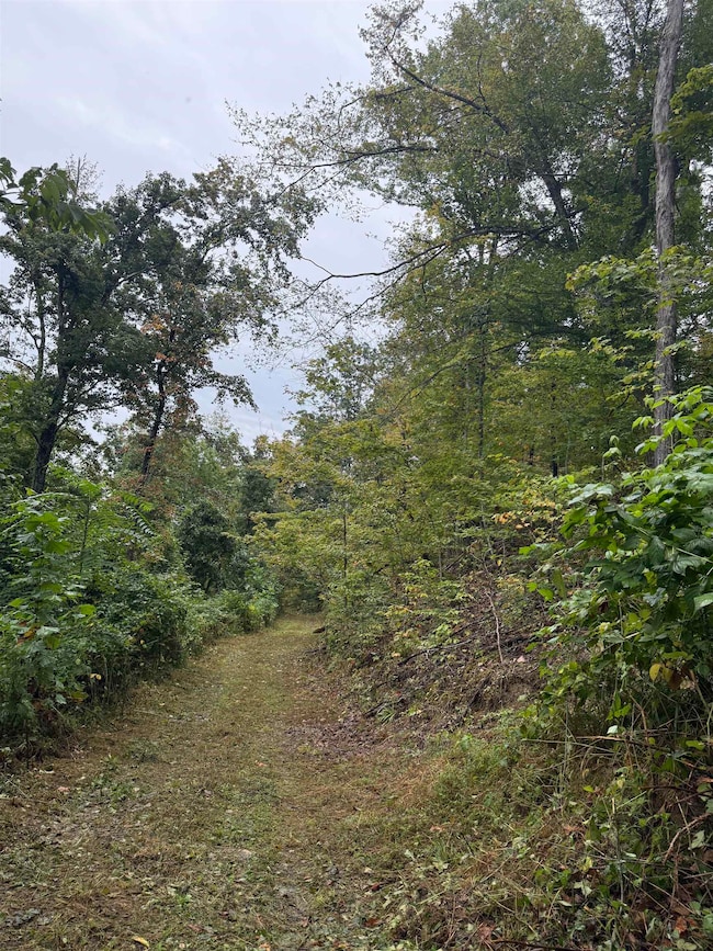 15709 Trace Rd, Rush, KY 41168 - photo 6