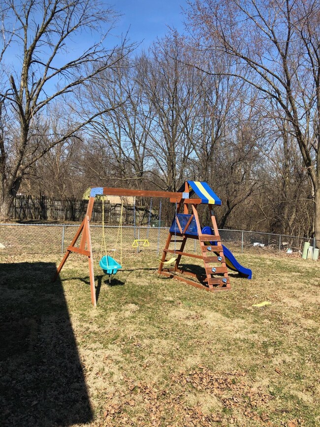 IMG_4747.jpeg back yard