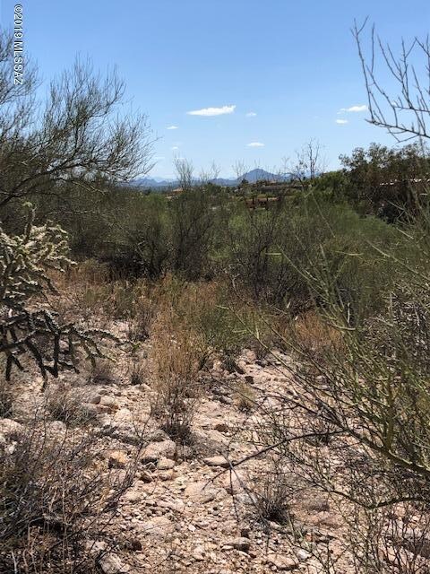 Tucson Mtns to the SW