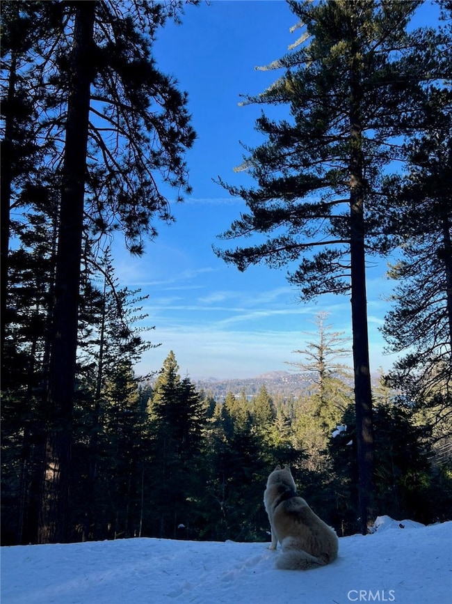 525 California 173, Lake Arrowhead, CA 92352 - photo 2