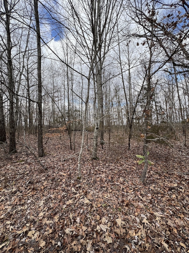 0 Cheyenne Cir, Beechgrove, TN 37018 - photo 6