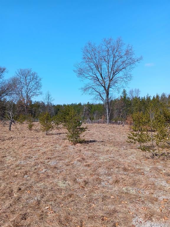 0000 Cedar Creek Rd, Wellston, MI 49689 - photo 4