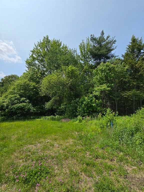 00 Miles Rd, Athol, MA 01331 - photo 6