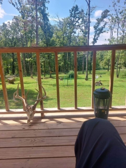 TBD Big Spring Rd, Winslow, AR 72959 - photo 7