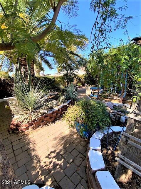 JS BACKYARD2