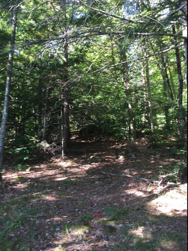 Campground #6
