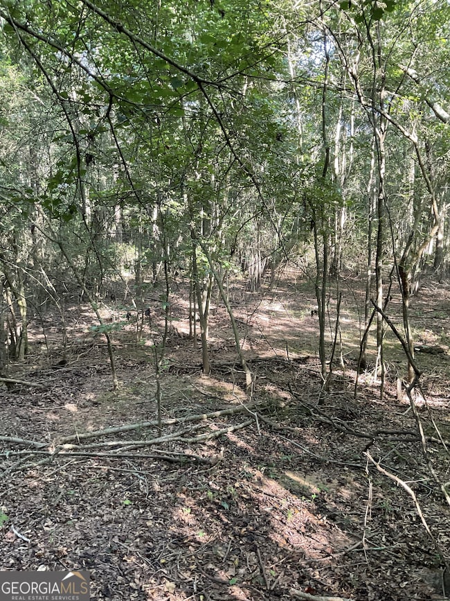 0 Bowers St unit LOT 1-8 10576344, Bowman, GA 30624 - photo 5