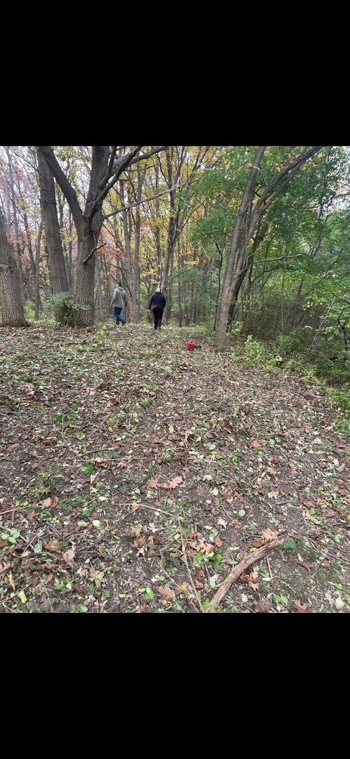 7 Autumn Trail, Barrington, IL 60010 - photo 5