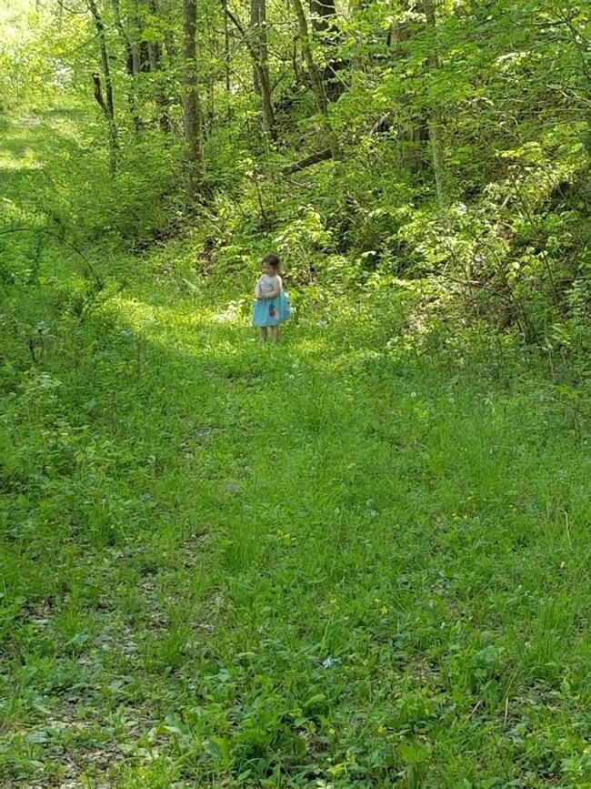 E4952083-24A8-4569-B1B7-6AC8722EC039