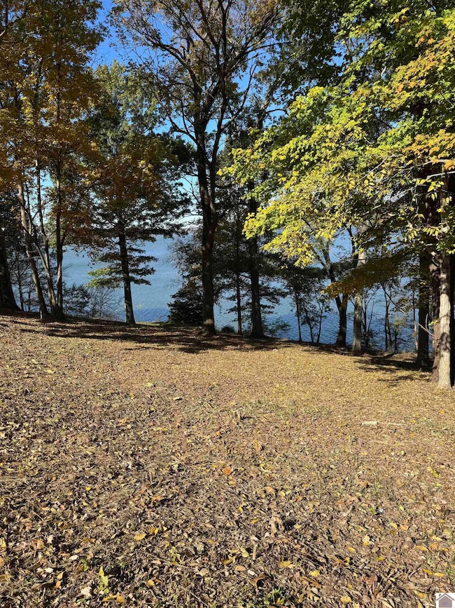 Lot 57 Rimcrest Cir unit Also known as Cheekw, Cadiz, KY 42211 - photo 5