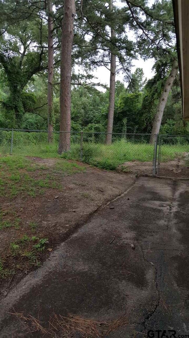 13655 Big Oak Bay Rd, Tyler, TX 75707 - photo 3