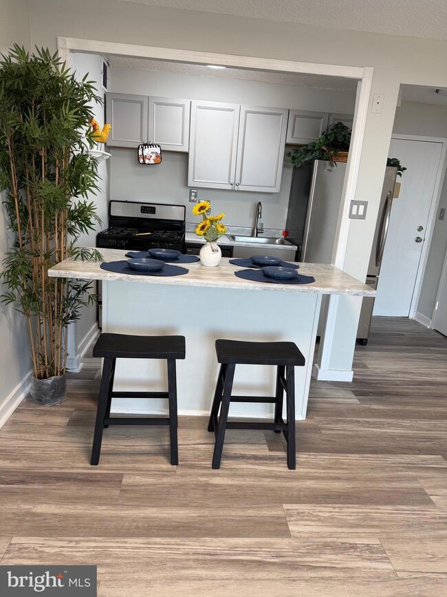 Park Place Condominium unit 1409, Alexandria, VA 22302 - photo 7