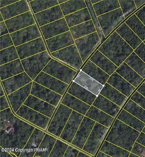 C475 Treetop Ln, Albrightsville, PA 18210 - photo 4