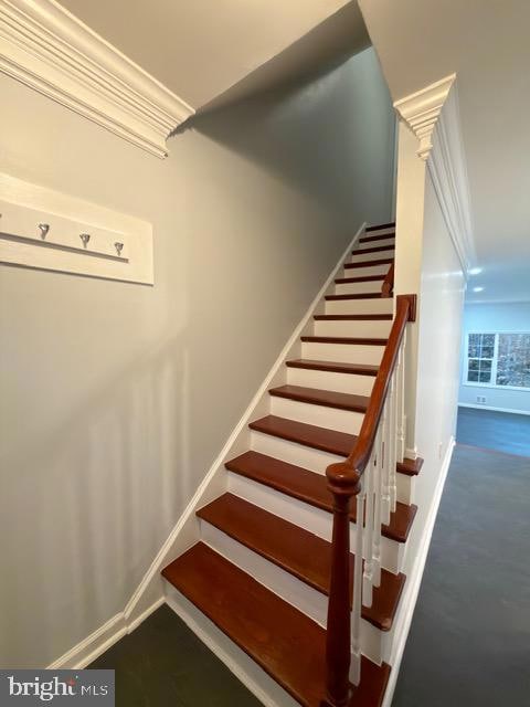 5915 Kingsford Rd unit 365, Springfield, VA 22152 - photo 3