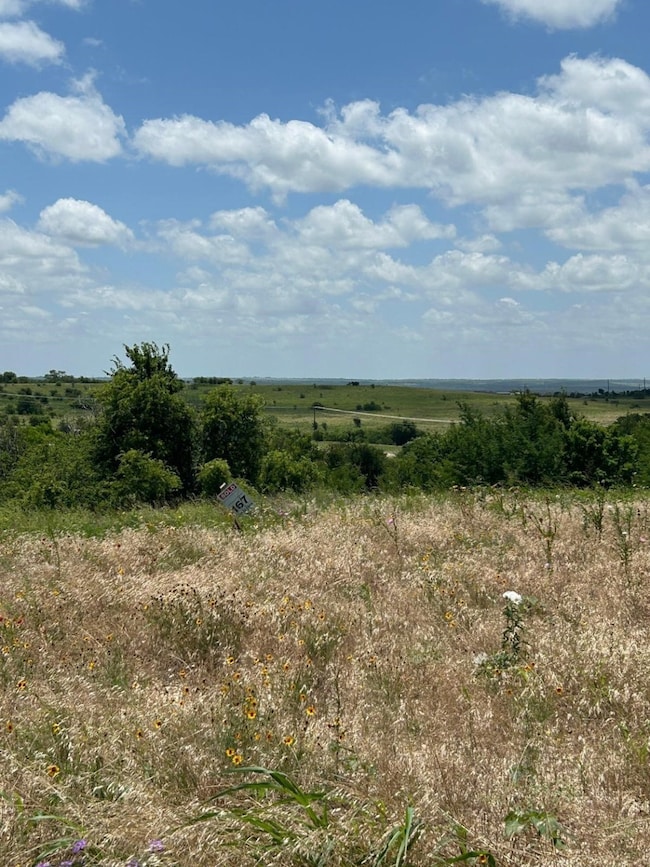 2517 Tom Chaney Dr unit 103, Cresson, TX 76035 - photo 3