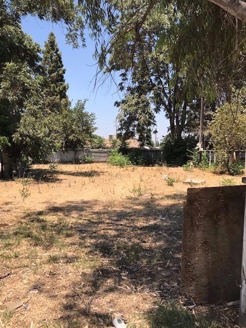 14286 Wilson St, Poplar, CA 93257 - photo 4