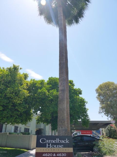 P1040347