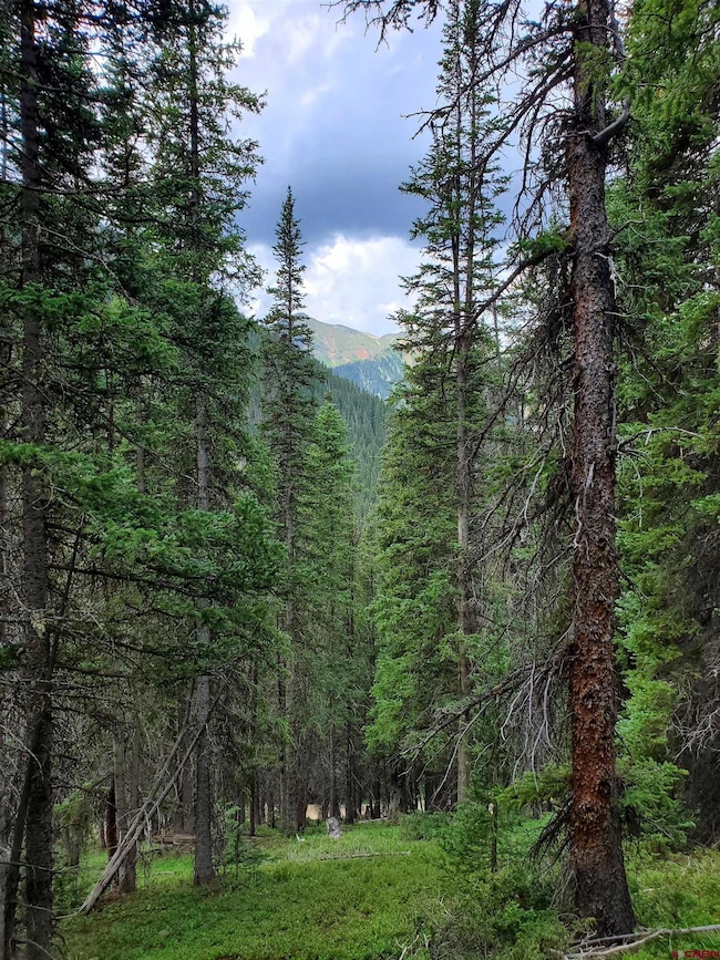 TBD Cr 51 High Mountain Properties, Silverton, CO 81433 - photo 5