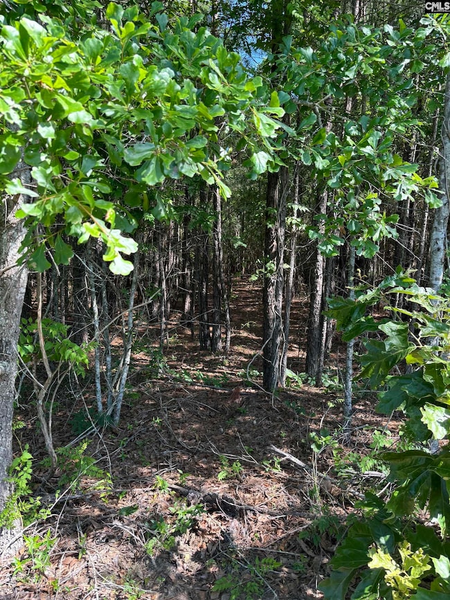 0 Black River Rd, Rembert, SC 29128 - photo 2