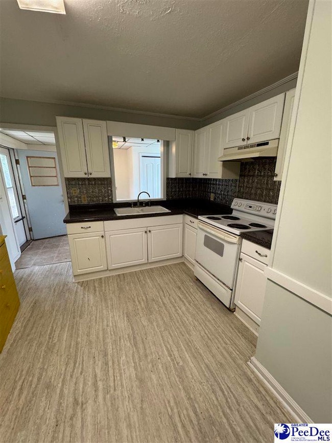 725 N Park St, Mullins, SC 29574 - photo 4