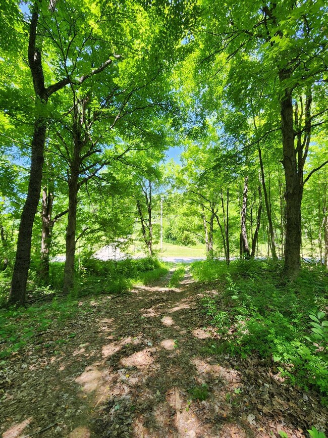 0 Co Road 800 unit 199206, Milan, IN 47031 - photo 2