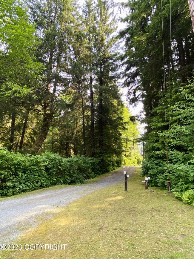 View from Road
