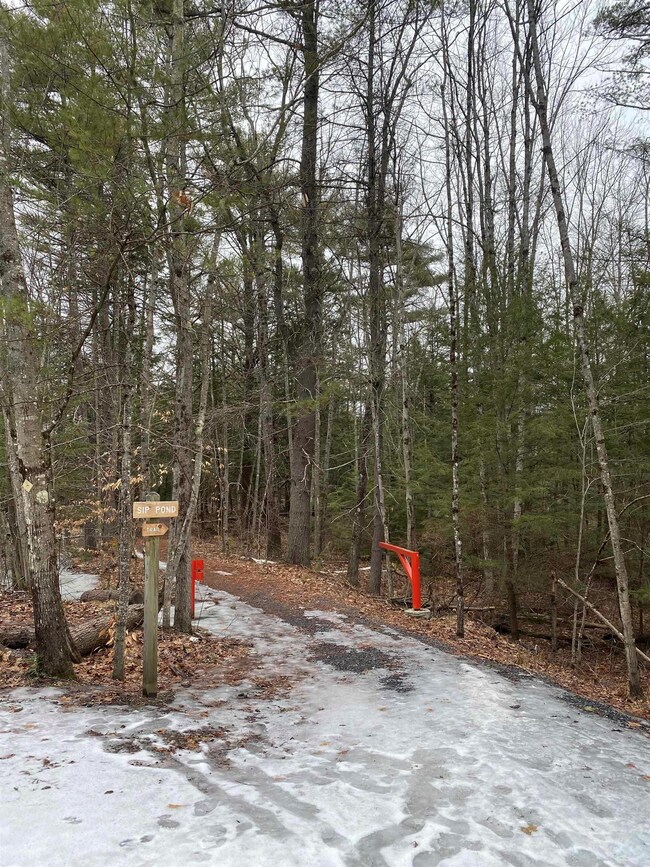 0 Off Rail Trail unit 4898840, Fitzwilliam, NH 03447 - photo 5