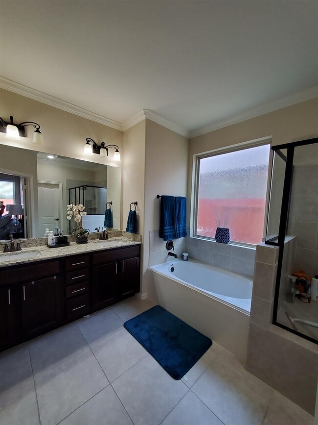 3543 Chestnut Grove Ln, Fulshear, TX 77441 - photo 4