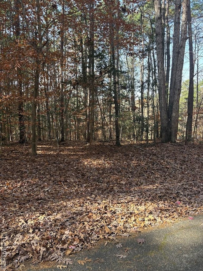 011, Bracey, VA 23919 - photo 6