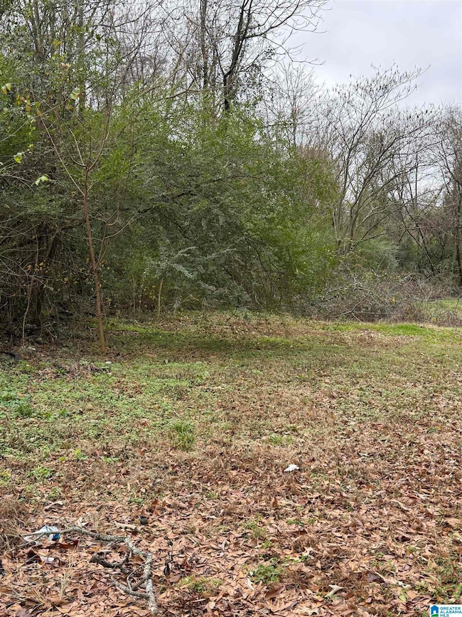 201 Nail St, Birmingham, AL 35228 - photo 4