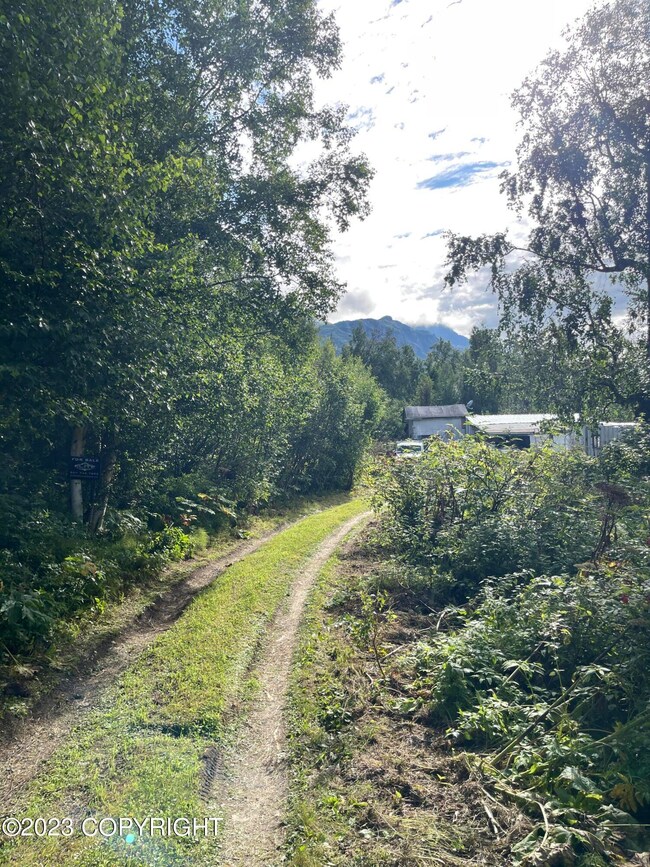 17100 Owens Dr, Lazy Mountain, AK 99645 - photo 2