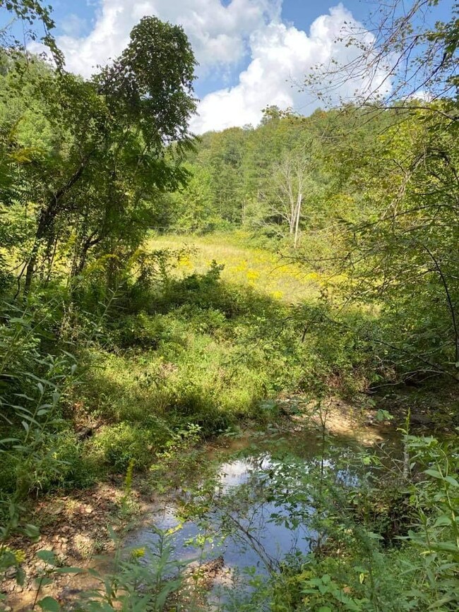 9999 Chestnut Branch Rd, Manchester, KY 40962 - photo 4